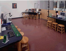 3m Colorquartz system