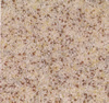 Poise 7 White, 1 Smoke, 1 Buff, 1 Brown